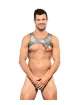 Harness Andrew Christian Disco