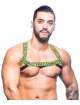 Harness Andrew Christian Master