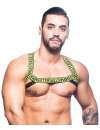 Harness Andrew Christian Master