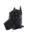 Hood of the Black Dog