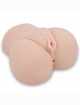 Masturbator Realistic Anus, and Vagina With vibrators