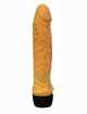 The vibrator is Realistic, Fred 16cm