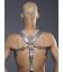 Combi Harness Braces Basic Cinzento
