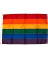 Flag Rainbow 40 x 60 cm