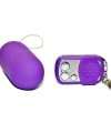 Egg Vibrating with the Port Command Keys Purple 211013
