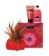 Conjunto Strawberry Treasure Trove Kama Sutra