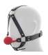 The harness for the Head with the Gag