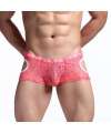 Mini-Boxers em Renda Transparente,124002