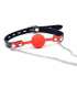 Gag with Ball, Silicone and Clamps for Nipples 334013
