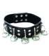 Collar with Rings