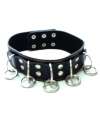 Collar with Rings
