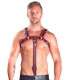 Extension Strap Red